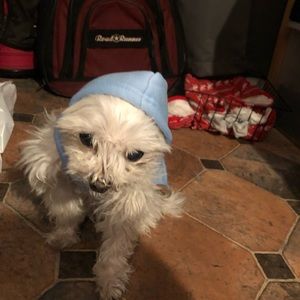 Meet your Posher, Sotonye